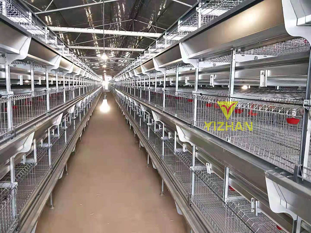 自動(dòng)化肉雞籠